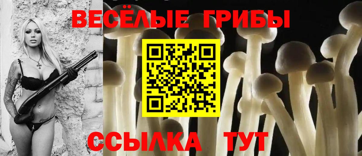 Галлюциногенные грибы Psilocybe  Псилоцибиновые грибы Cubensis  Вход с VPN  Лабинск 